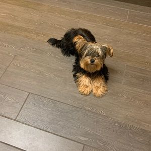 Meet your Posher, Mary